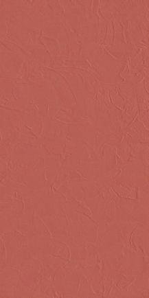 COLOR CULTURE Matte Porcelain Tile Collection - Image 5